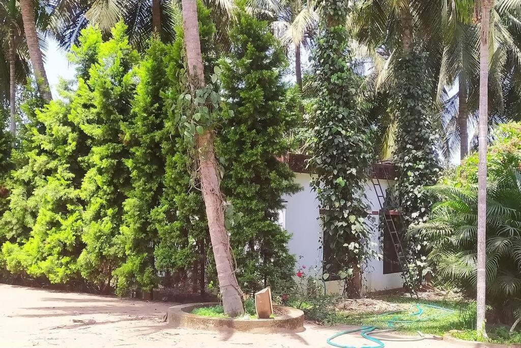 Runnin Airport - Homestay Gurpur Kültér fotó