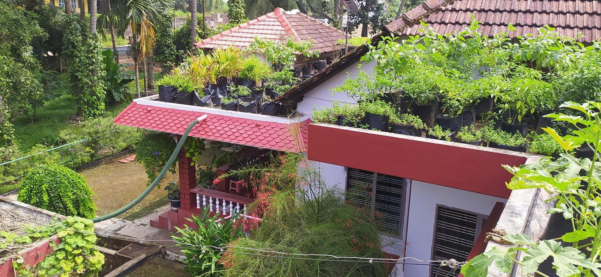 Runnin Airport - Homestay Gurpur Kültér fotó