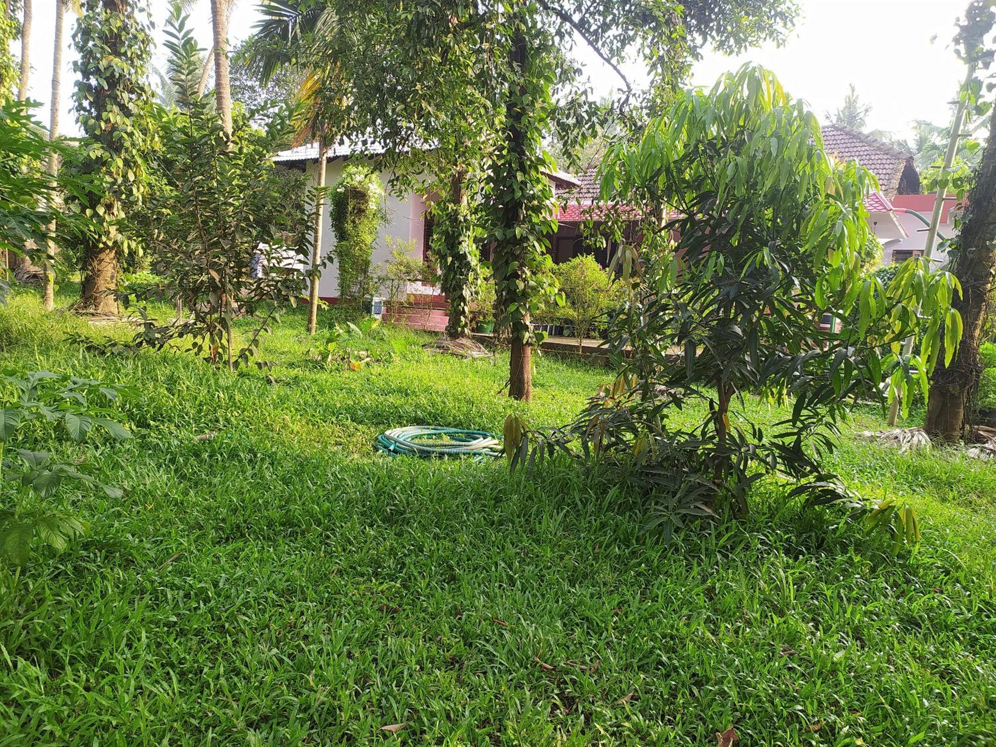 Runnin Airport - Homestay Gurpur Kültér fotó